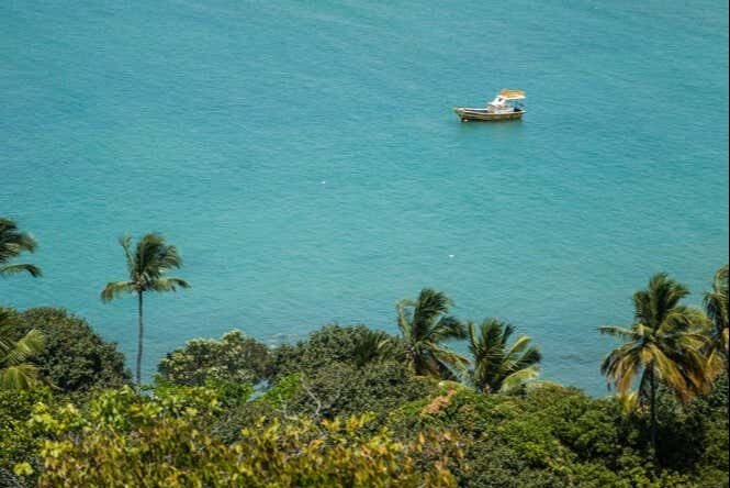 Excursão às Praias Paradisíacas de Cabo de Santo Agostinho com Passeio de Buggy!