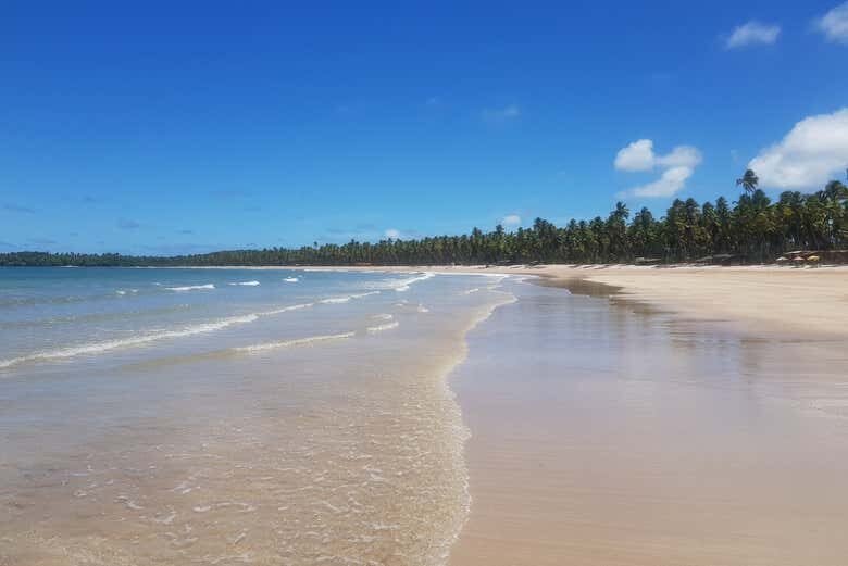 Excursão às Praias de Moreré e Cueira na Ilha de Boipeba!