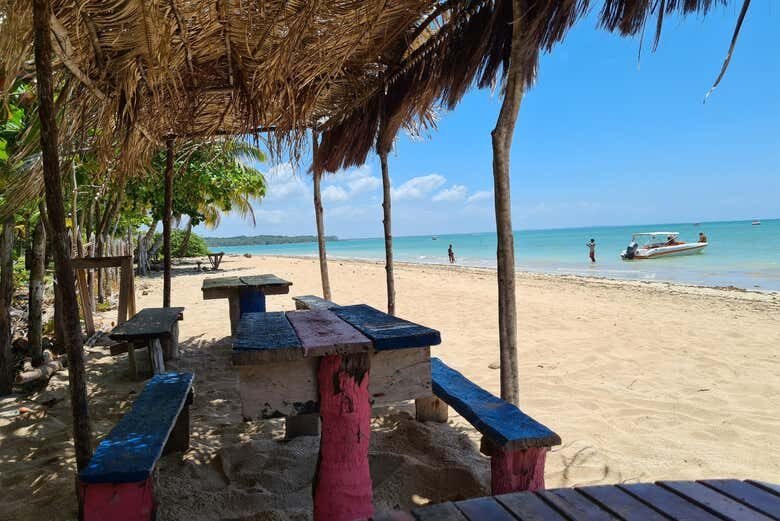 Excursão às Praias de Moreré e Cueira na Ilha de Boipeba!