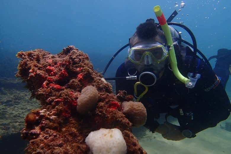 Aventura Submarina na Baía de Todos-os-Santos: Explore Tesouros Submersos!