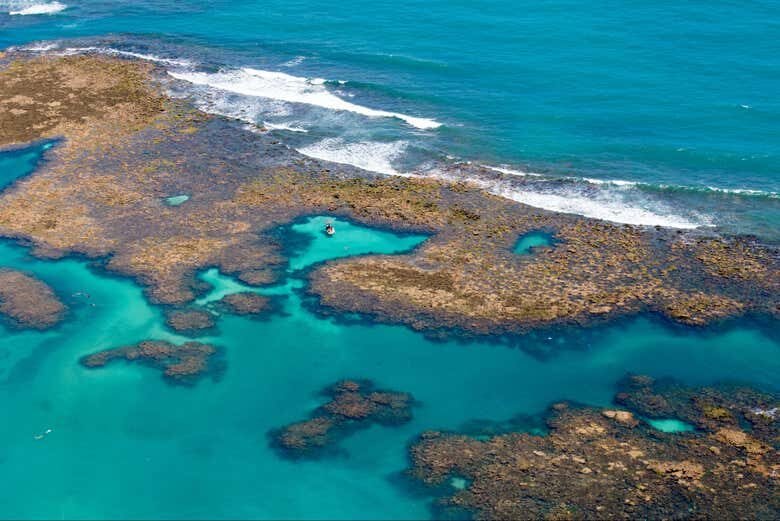 Descubra o Fascinante Mundo Submarino com um Mergulho em Porto de Galinhas!