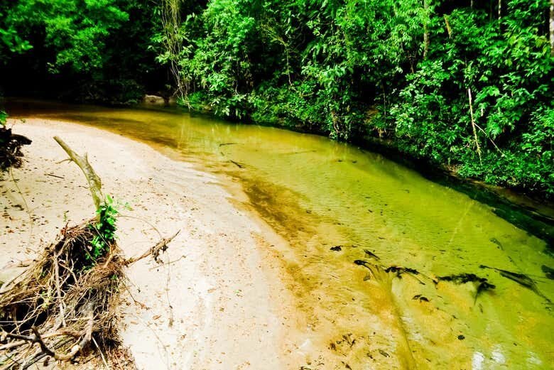 Aventura na Trilha da Cachoeira da Torre 47 em Bertioga!