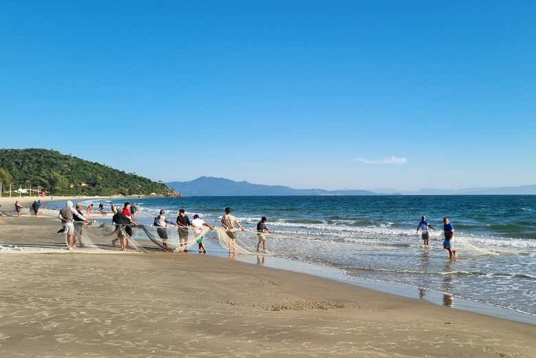 Caminho de Santiago em Florianópolis: Natureza, Cultura e Espiritualidade!