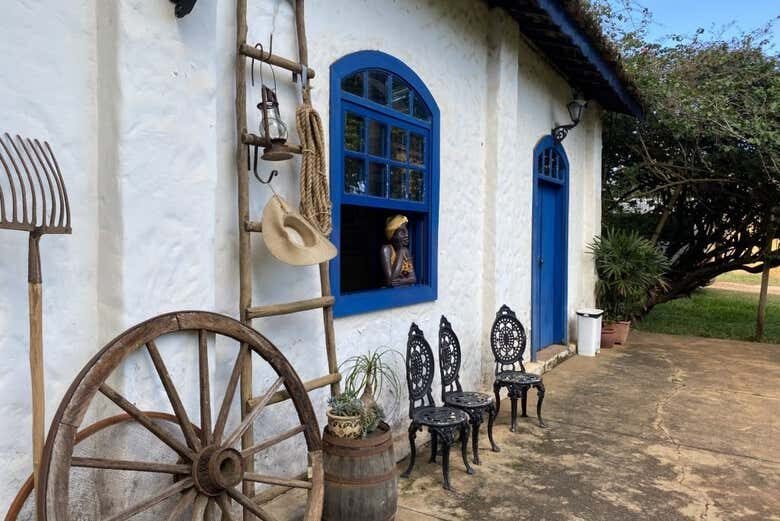 Visita à Fazenda Cafeeira Tozan: Uma Jornada Pelos Aromas e Sabores do Café!