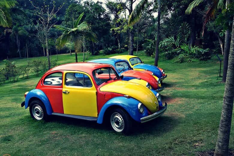 Exploração Artística: Excursão ao Instituto Inhotim desde Belo Horizonte!