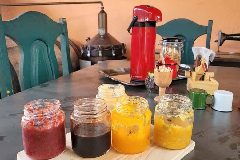 Explore o Interior Paulista: Monte Sião, Serra Negra, Amparo e Pedreira!