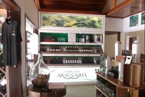Tour Vinícola Araucária: Degustação e Encantos do Mundo do Vinho!