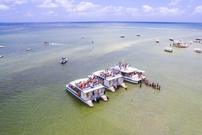 Excursão à Praia dos Carneiros: Um Paraíso no Nordeste Brasileiro!