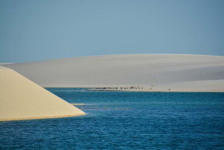 Trilha Inesquecível pelas Dunas e Lagoas Emendadas nos Lençóis Maranhenses!