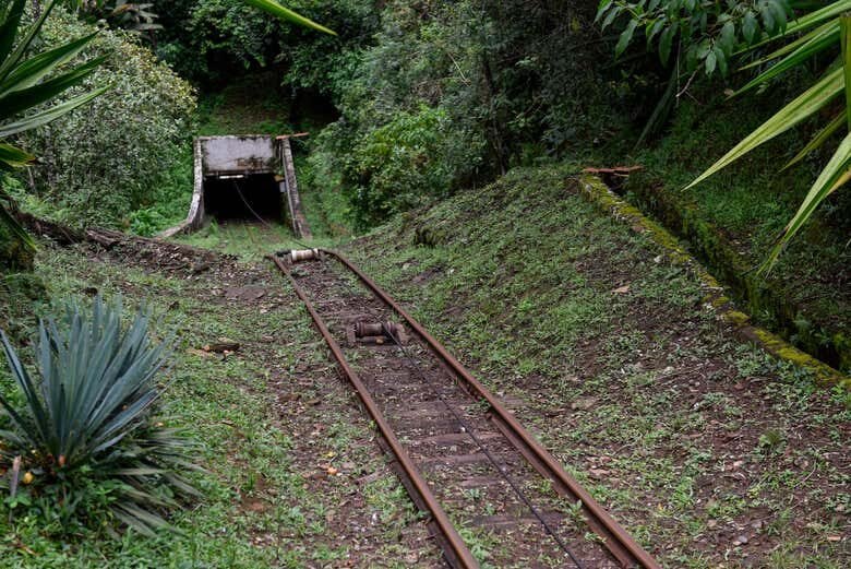 Descubra a História de Mariana: Excursão Incrível de Ouro Preto!