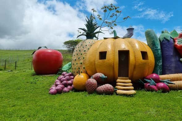 Um Dia Épico no Beto Carrero World com Saída de Floripa!