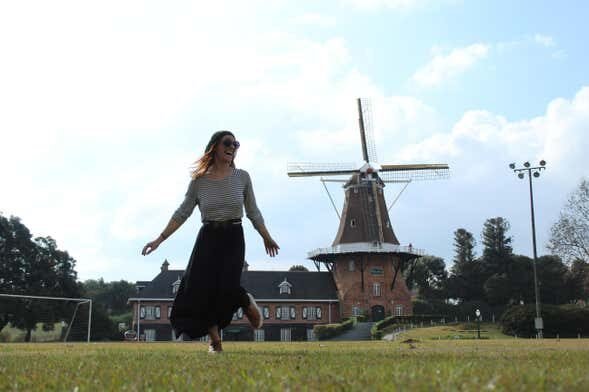 Um Dia na Holanda Brasileira: Tour Histórico por Castrolanda + Campos Gerais!