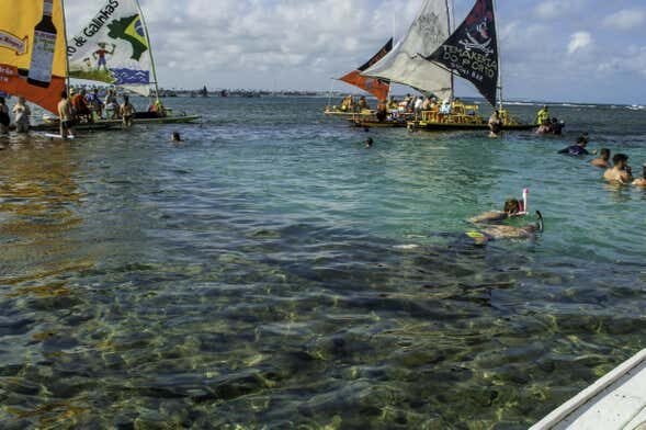 Excursão ao Paraíso de Porto de Galinhas: Desfrute de Piscinas Naturais e Praias Paradisíacas!