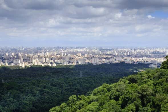 Excursão Privada a São Paulo: Descubra a Maior Cidade da América Latina!