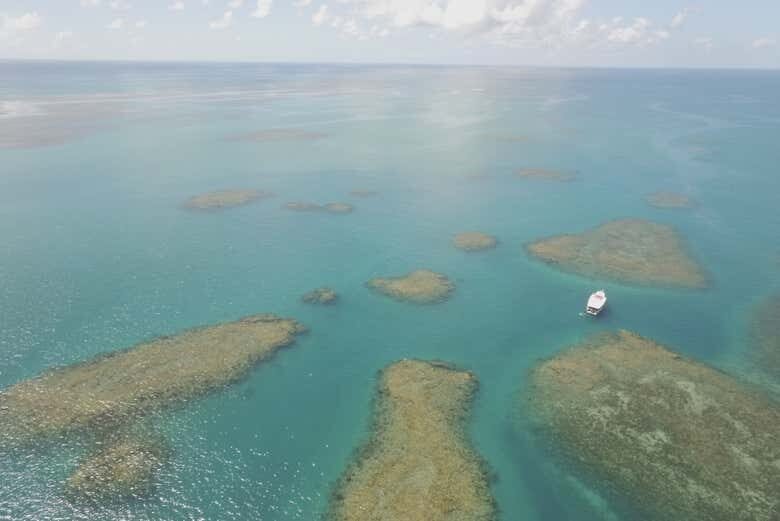 Explore o Paraíso Subaquático no Parque Marinho do Recife de Fora!