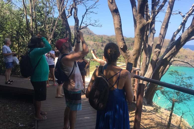 Trilha pelos Mirantes de Fernando de Noronha!
