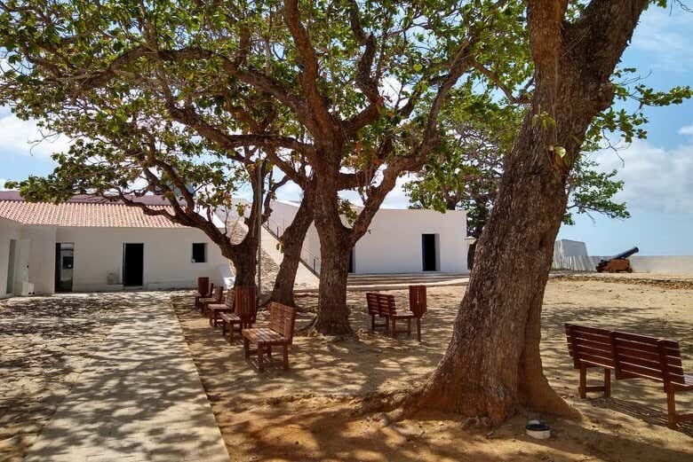 Tour Privado por Fernando de Noronha: Descubra o Paraíso Exclusivamente para Você!