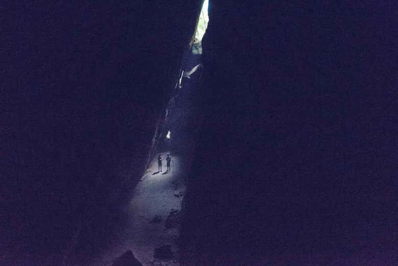 Trilha pelo Pico da Tijuca: Descubra a Natureza Exuberante do Rio de Janeiro!