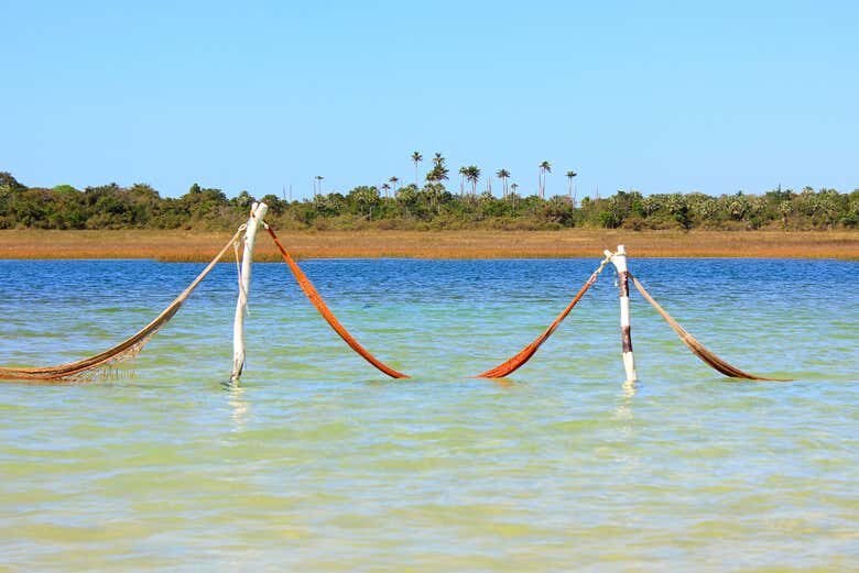 Bate-Volta Encantador a Jericoacoara + Pôr do Sol na Lagoa do Amâncio!