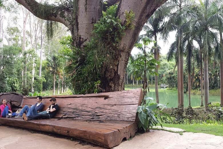 Excursão ao Instituto Inhotim: Arte ao Ar Livre na Mata Atlântica!