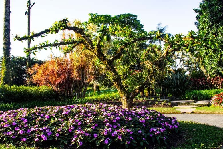 Descubra as Maravilhas Rurais de Joinville: Casa Krüger e Fazenda Ango Kersten!