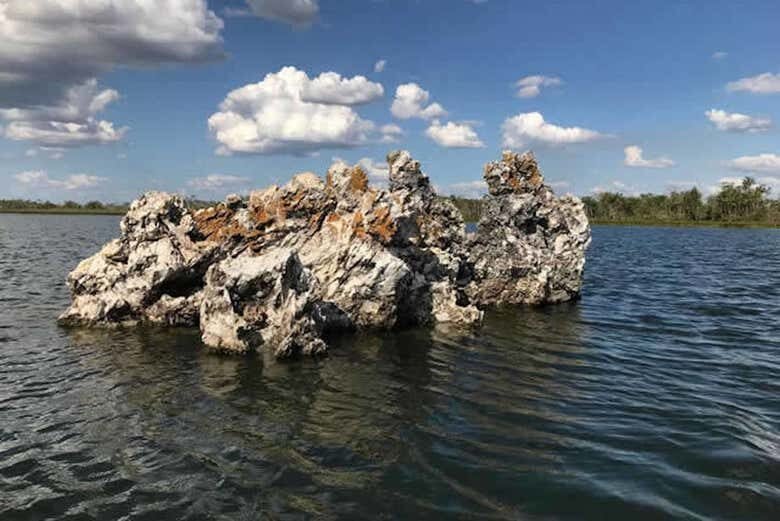 Aventuras Inesquecíveis na Ilha do Bananal e Parque do Cantão em 5 Dias!