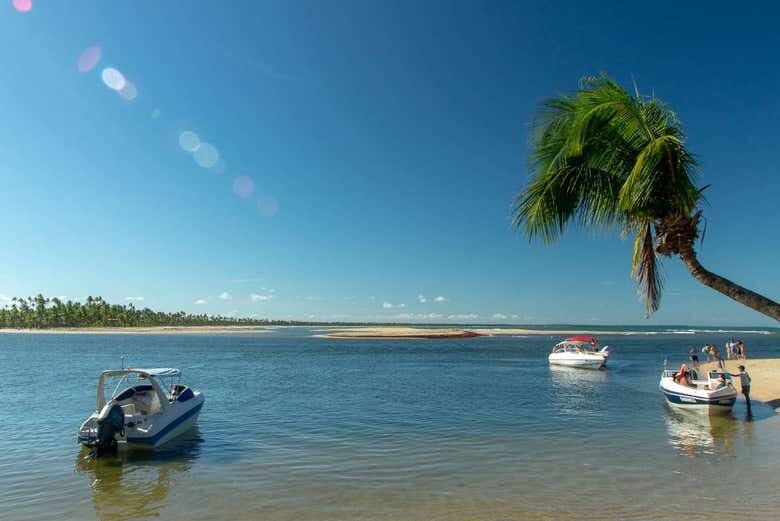 Descubra o Paraíso: Excursão à Praia Boca da Barra em Boipeba!