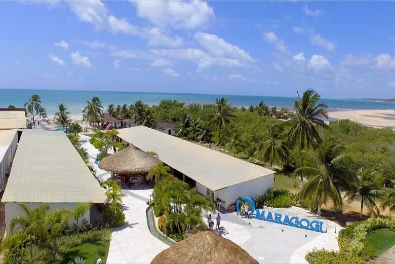 Excursão ao Paraíso Brasileiro: Descubra as Maravilhas de Maragogi!