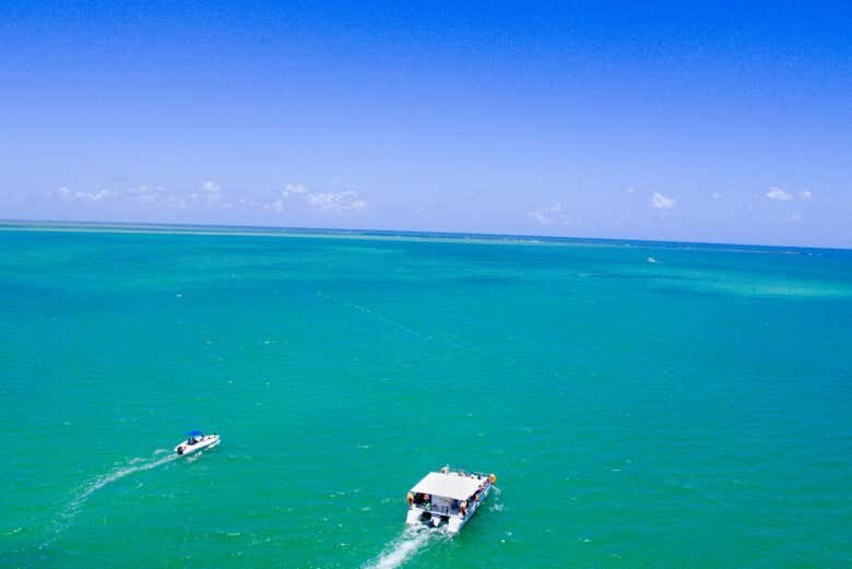 Excursão ao Paraíso Brasileiro: Descubra as Maravilhas de Maragogi!