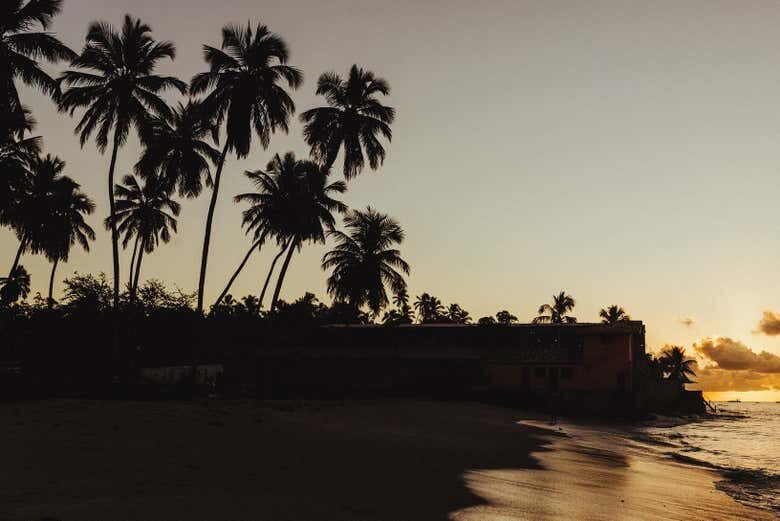 Excursão ao Paraíso Brasileiro: Descubra as Maravilhas de Maragogi!