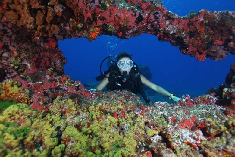 Desvende as Profundezas de Fernando de Noronha com Mergulhos Incríveis!