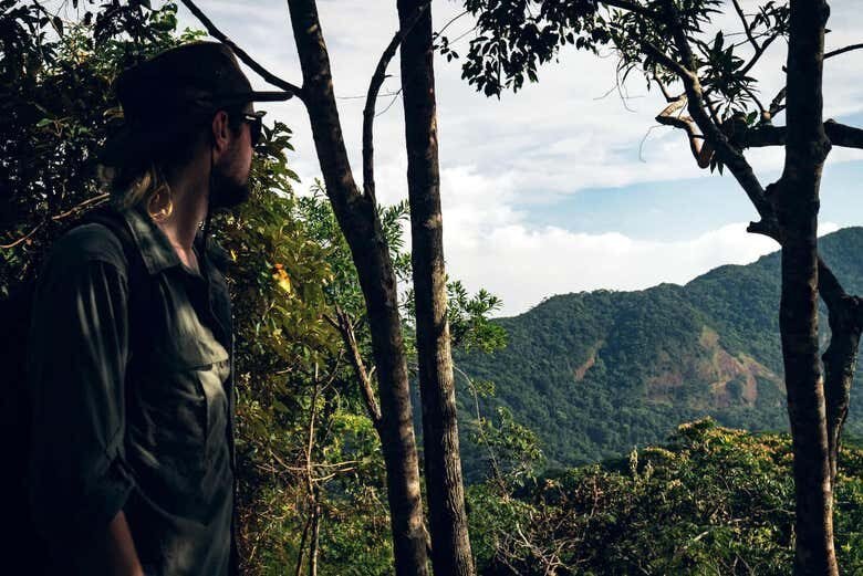 Conecte-se com a Natureza: Trilha Incrível em Pedra Bonita no Rio de Janeiro!