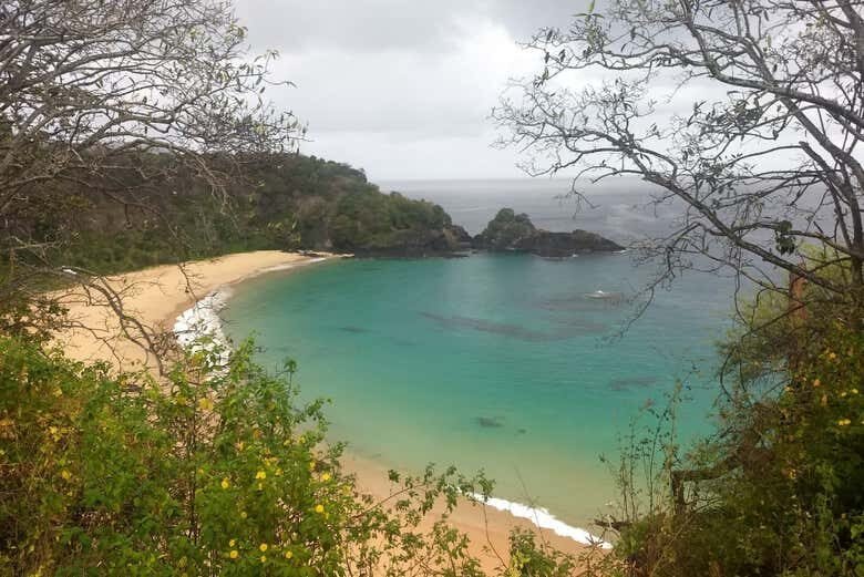 Descubra as Maravilhas de Fernando de Noronha com Este Tour Completo!