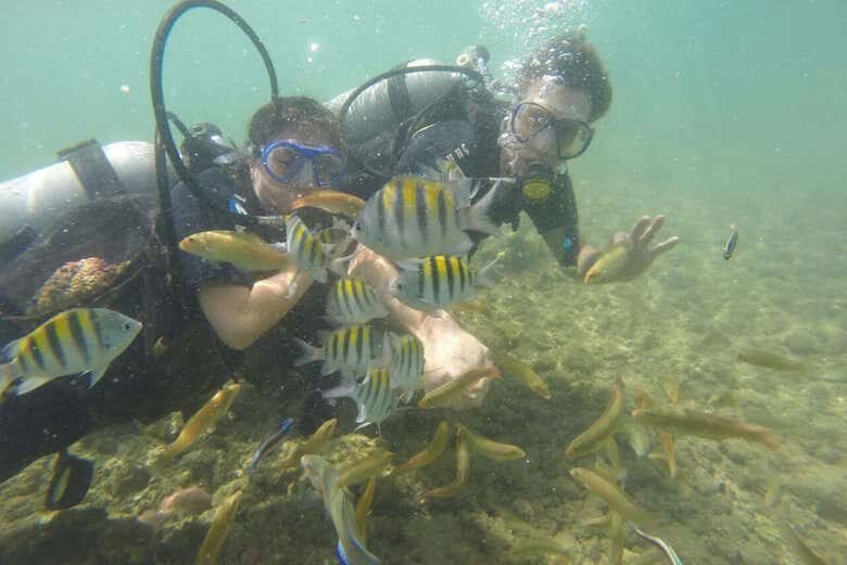 Batismo de Mergulho em Morro de São Paulo: Descubra o Mundo Submarino!