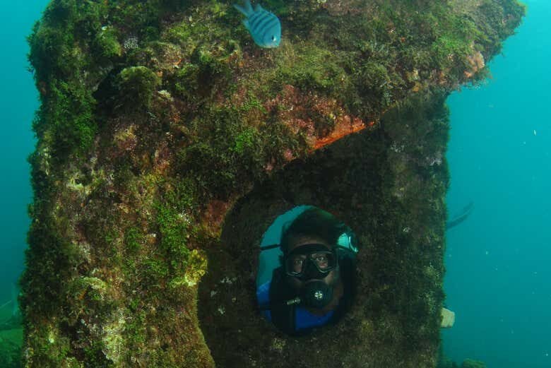 Mergulho Inesquecível em Fernando de Noronha: Explore o Naufrágio do Porto!