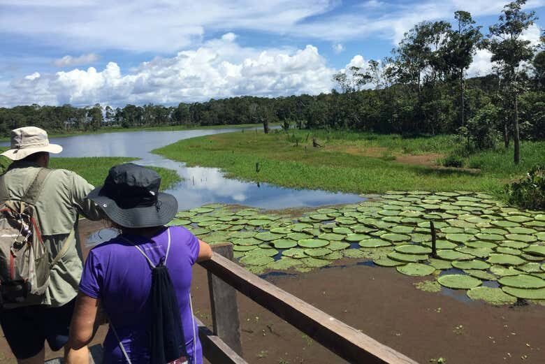 Explore Manaus: Cultura e Natureza em um Único Passeio!