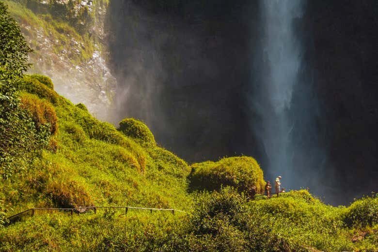 Desbrave a Natureza na Cascata do Salto do Itiquira - Excursão Privada!