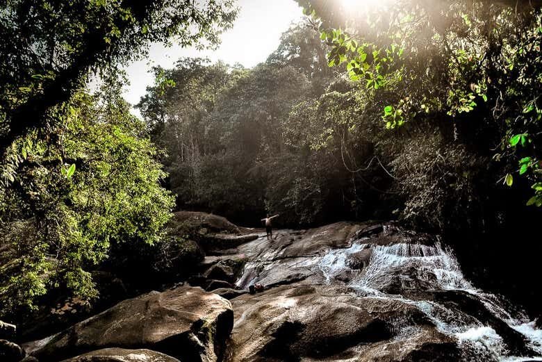 Trilha até a Cachoeira do Guaratuba: Aventure-se na Natureza Selvagem!