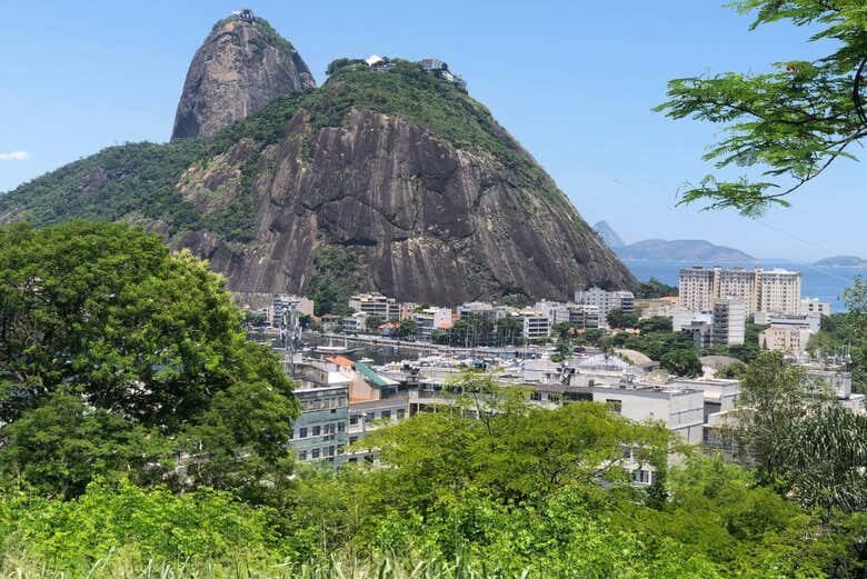 Tour da Cultura Judaica pelo Rio de Janeiro: Descubra os Segredos da Comunidade Hebraica