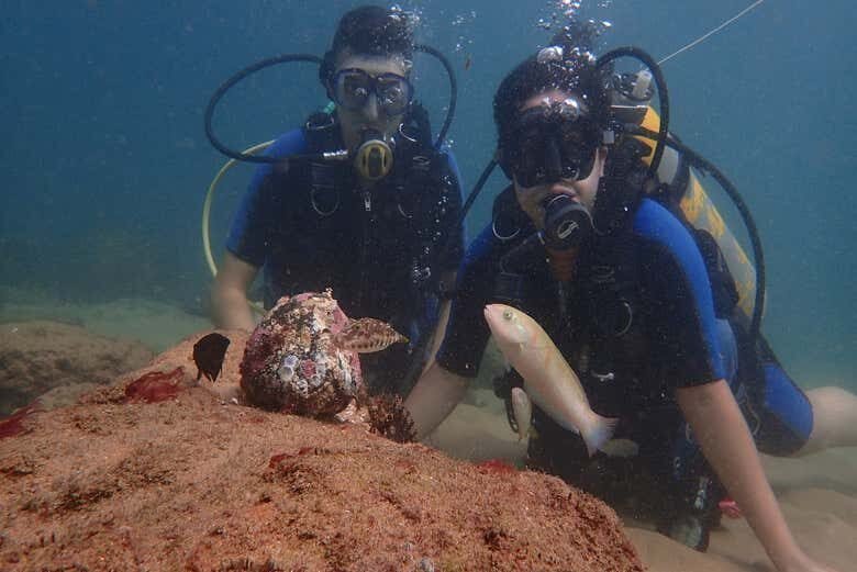 Mergulho de Batismo em Porto da Barra!
