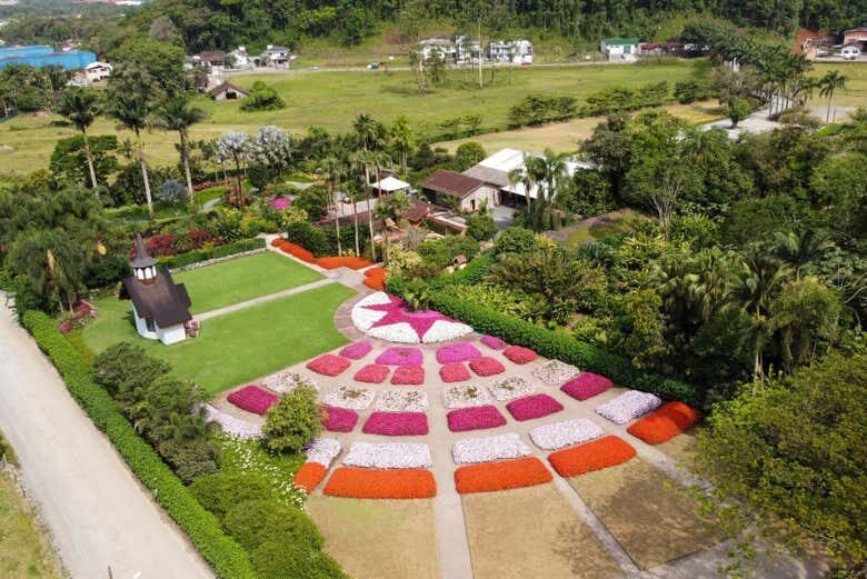 Tour Histórico por Joinville!