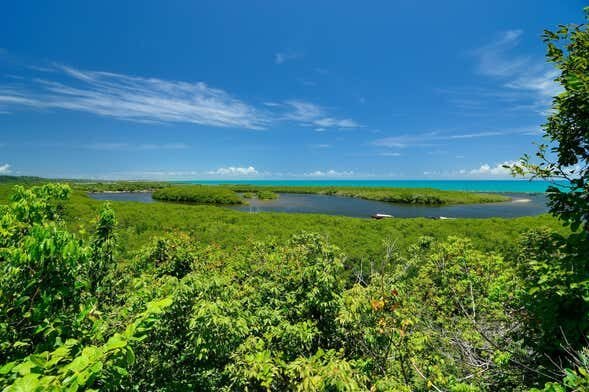 Passeio de Lancha pelo Rio João de Tiba: Uma Aventura Natural na Bahia!
