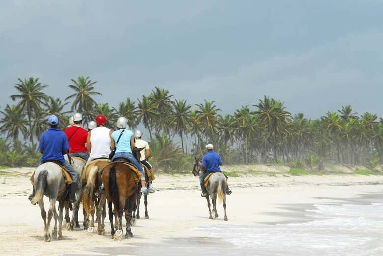 Passeio a Cavalo pela Ilha de Tinharé: Aventura e Beleza Natural em Morro de São Paulo!