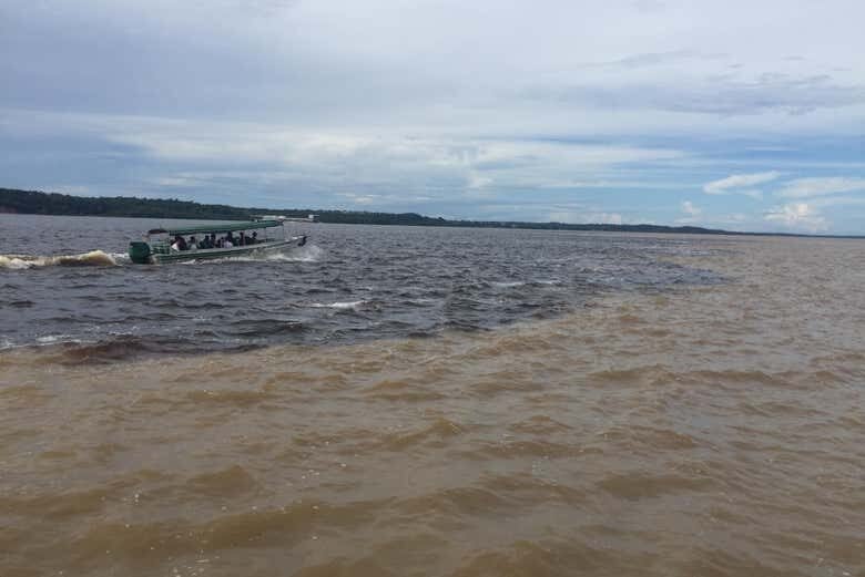 Explore Manaus: Cultura e Natureza em um Único Passeio!