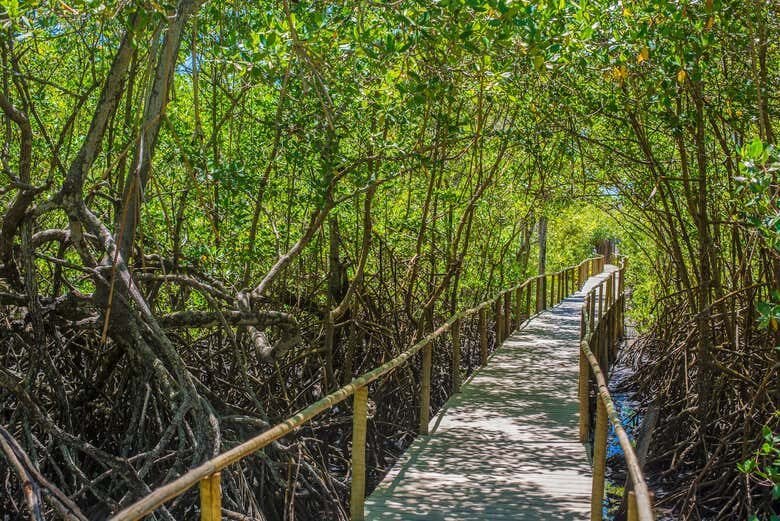 Descubra as Maravilhas de Trancoso saindo de Porto Seguro!