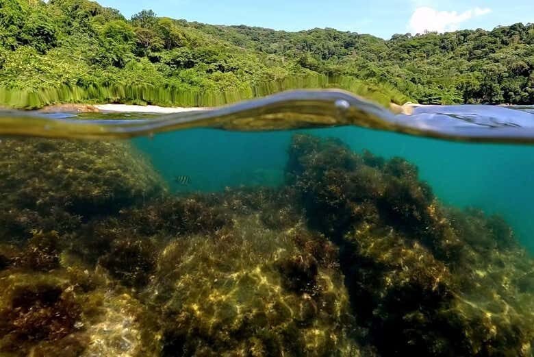 Explore as Praias Paradisíacas do Sul de Ubatuba em um Passeio de Lancha Inesquecível!