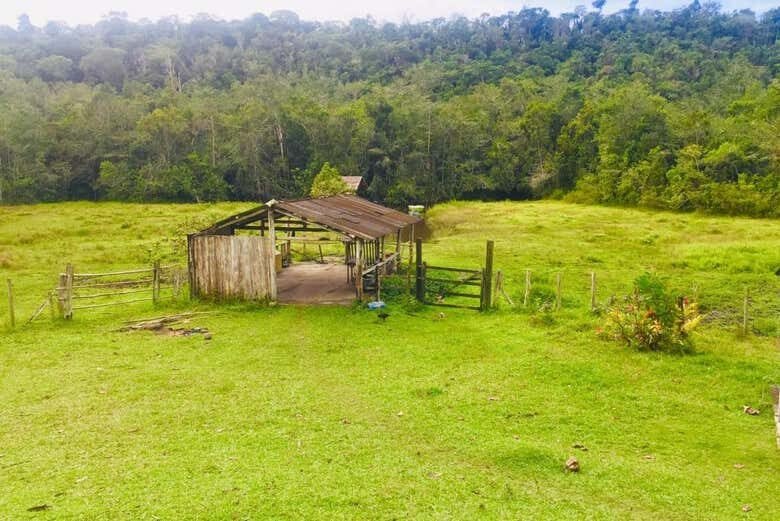 Passeio de Lancha pelo Rio João de Tiba: Uma Aventura Natural na Bahia!
