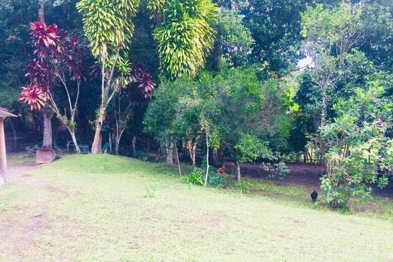 Passeio de Lancha pelo Rio João de Tiba: Uma Aventura Natural na Bahia!