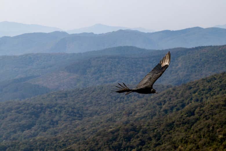 Trilha pela Pedra Redonda com Piquenique!