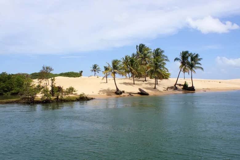 Excursão ao Rio São Francisco com Saída de Aracaju!